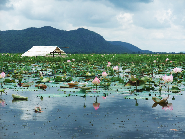Kamping Puoy Lake