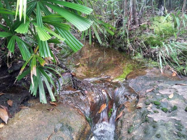 Phnom Koulen/Koulen Mountain