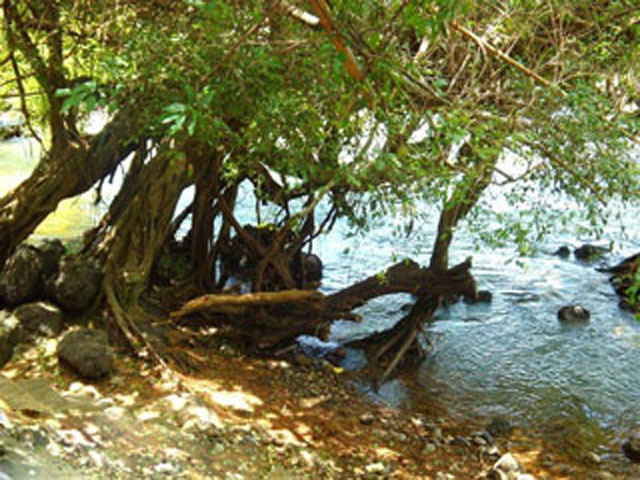 Sek Sork Resort